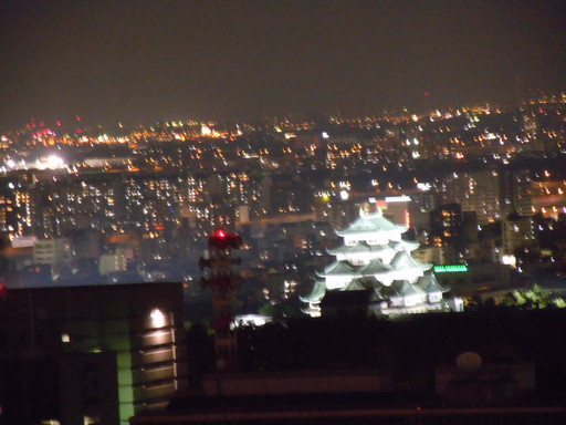 ライトアップ名古屋城