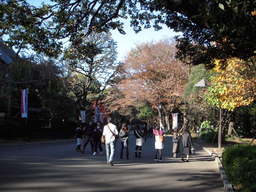 上野公園の紅葉その1