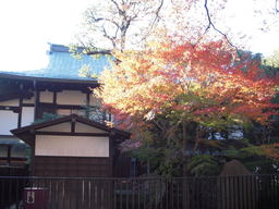上野公園の紅葉その3